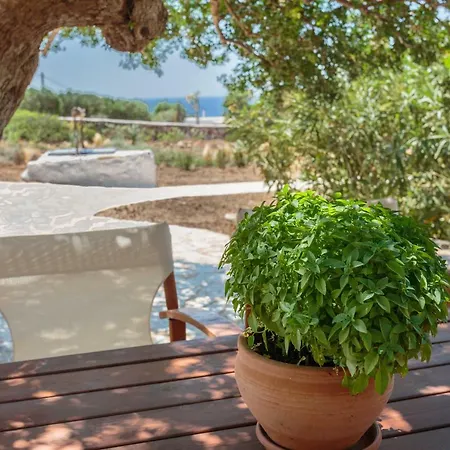 Holiday home Eleonas Villas, Near Lolantonis